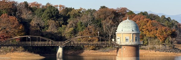 APRICOLOR1 Profile Banner