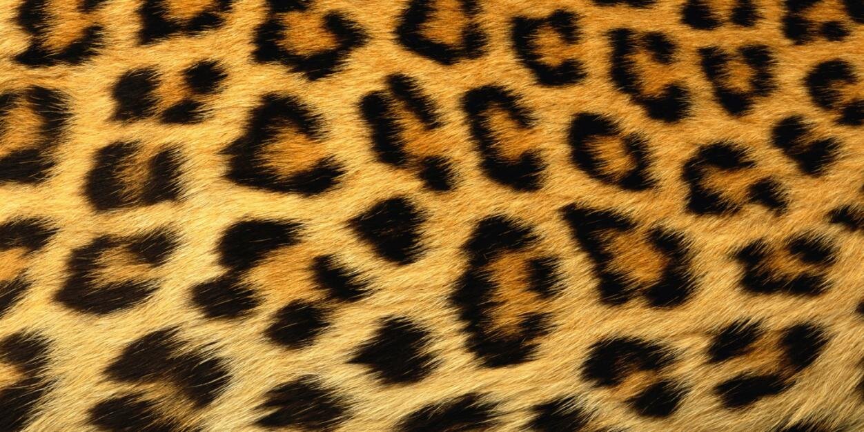 SimoneNoir's profile banner image