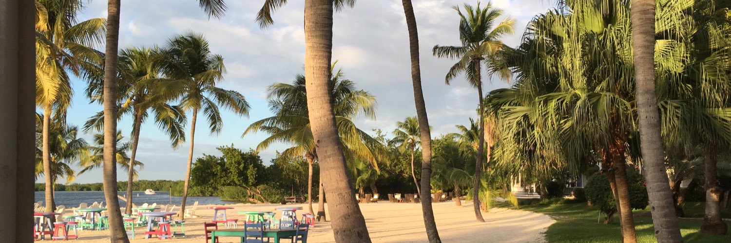 schwackdaddy's profile banner image