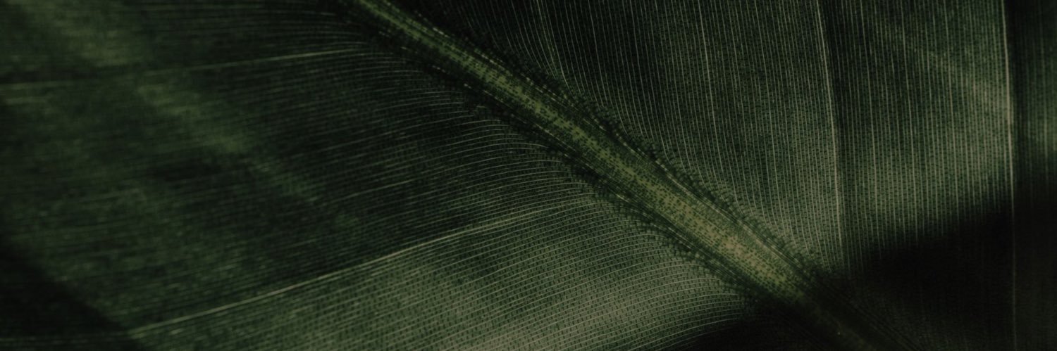 Miles Collier banner