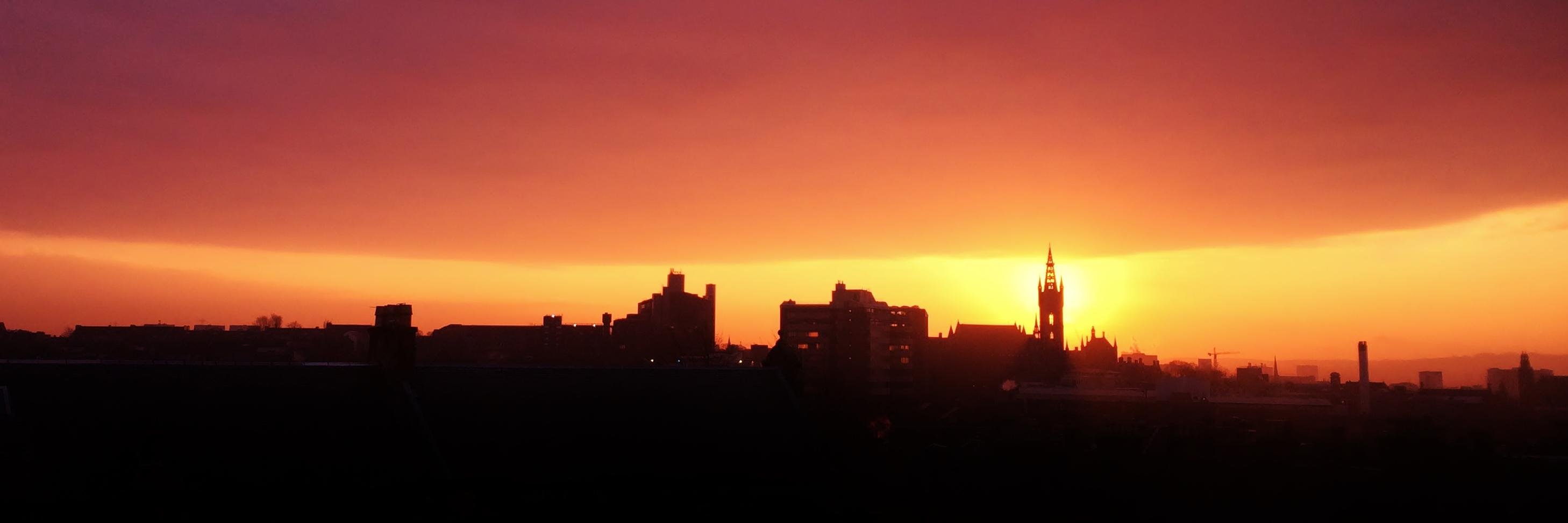 Mrs. D (she/her) banner