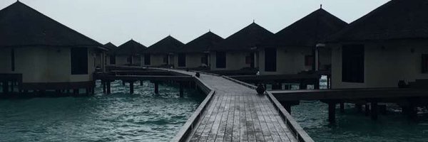 SaifAlmazroui Profile Banner