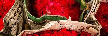 Rash_9090's profile banner image
