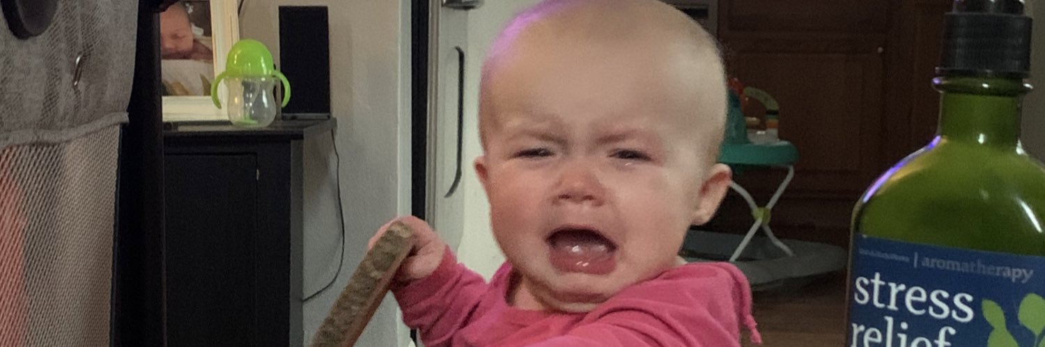 CailaDodds's profile banner image
