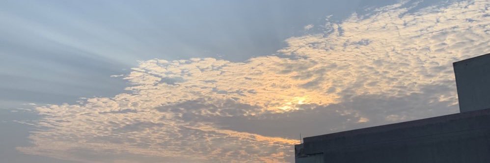 V a n e s s a banner