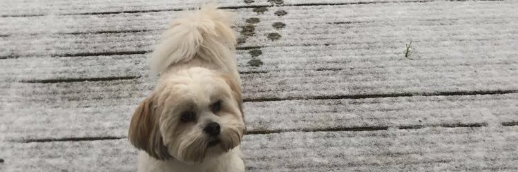 laurawilding1's profile banner image