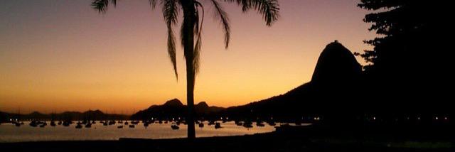 Thayssa Rippel banner