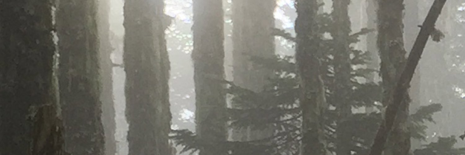 tymichaelprice's profile banner image