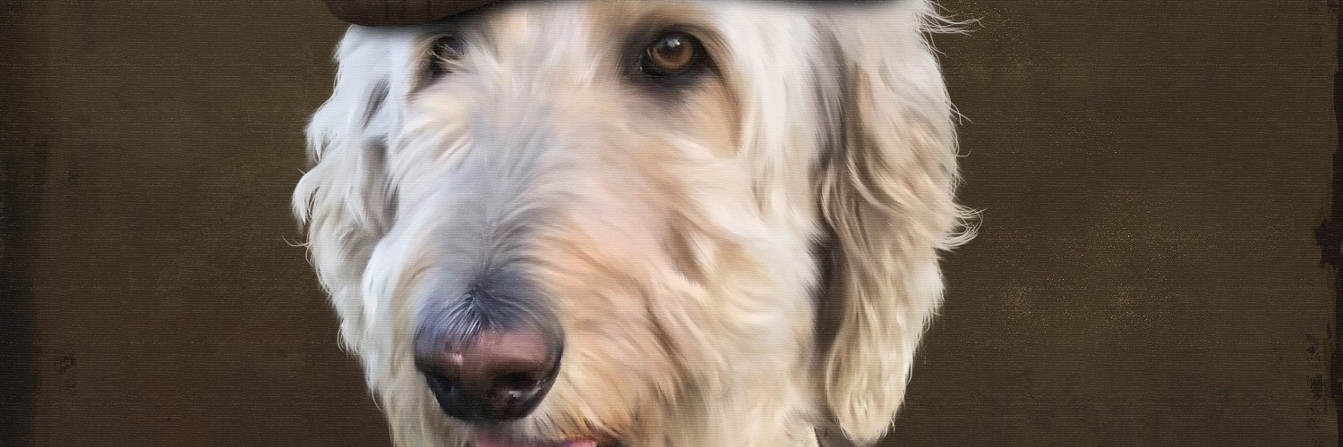 pickwick8's profile banner image