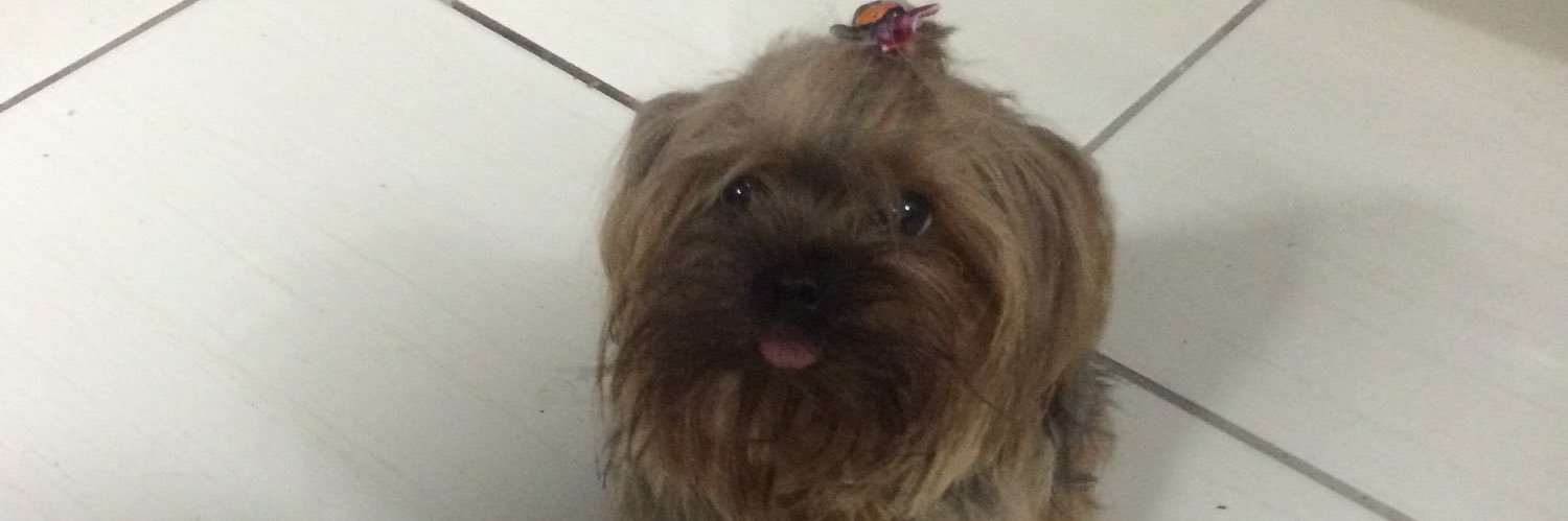 gabzito_'s profile banner image