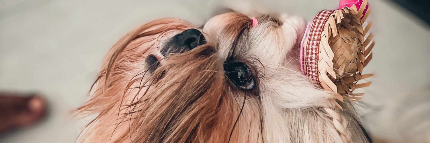 amandadimaaria's profile banner image