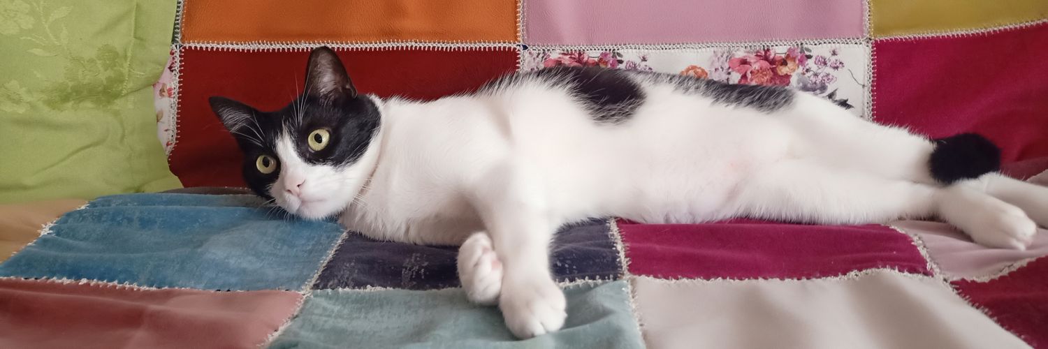 sulesuzuk's profile banner image
