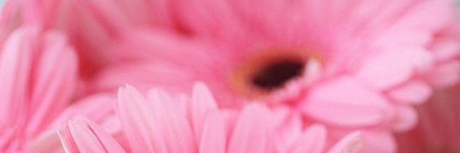 sivanxmellet's profile banner image