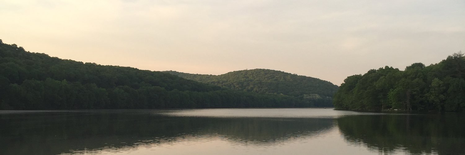 SeanIsFoxy's profile banner image