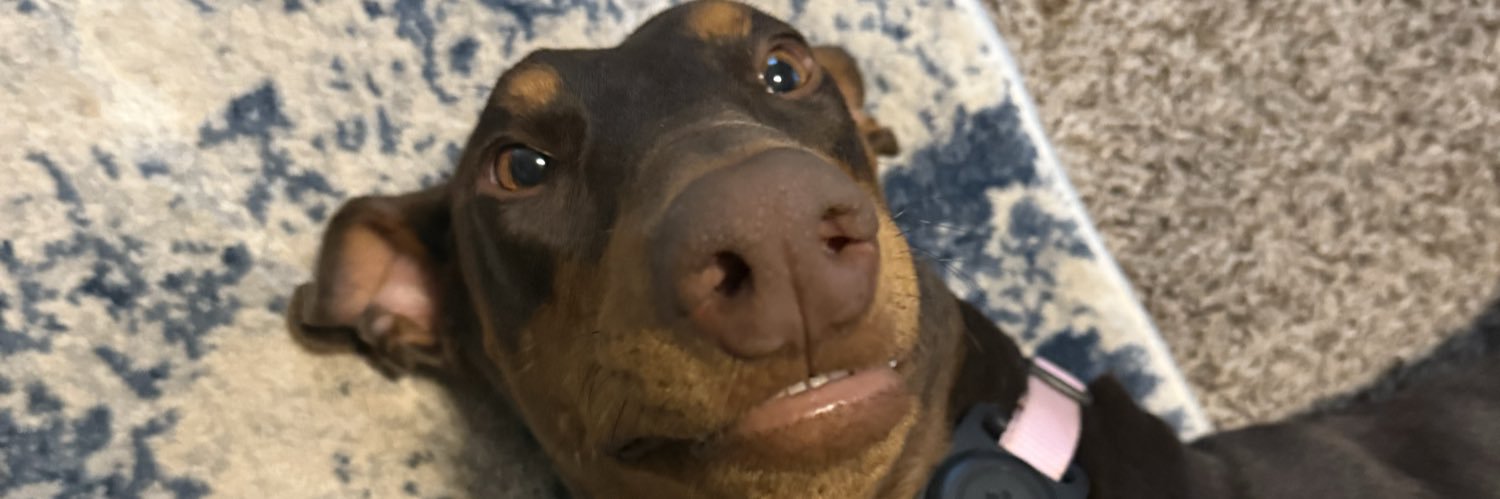 eli_virt's profile banner image