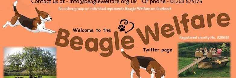 Beagle Welfare banner