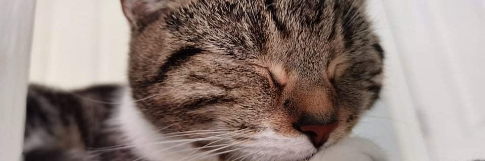 Brigzy_UK2's profile banner image