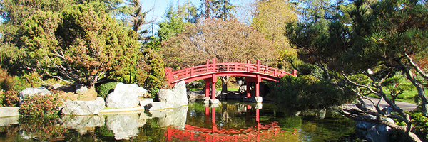 WanderWithAlice Profile Banner