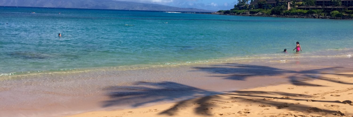 chloeroyle1's profile banner image