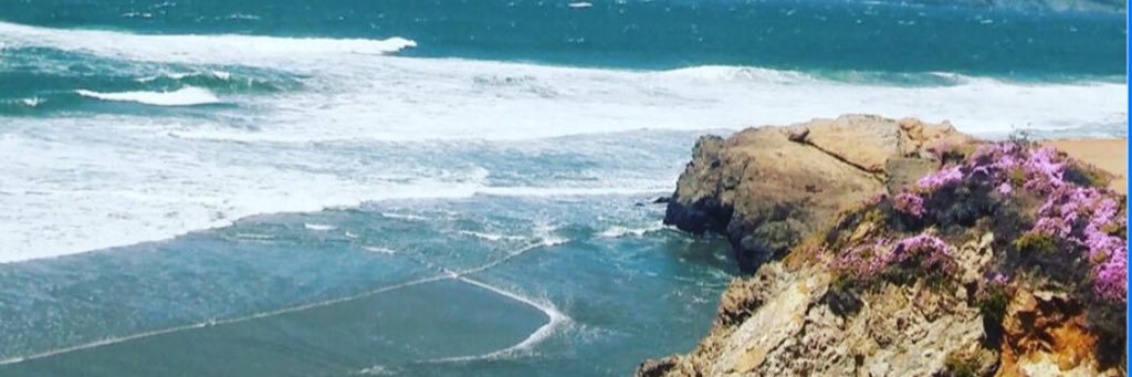 reneplata's profile banner image