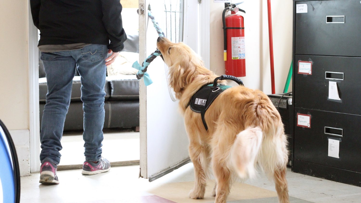 ECADServiceDogs's profile banner image