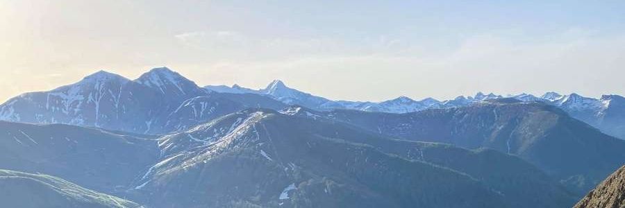 mangardnicolas's profile banner image