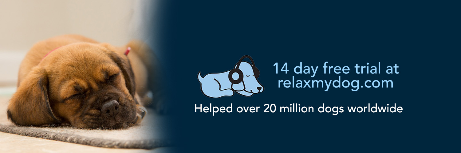 RelaxMyDog banner