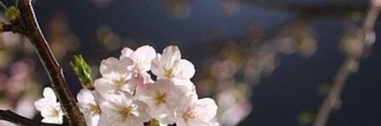 Jewels_JeeJee's profile banner image