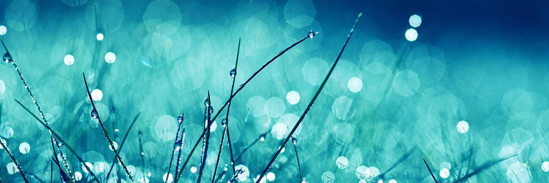 pymca's profile banner image