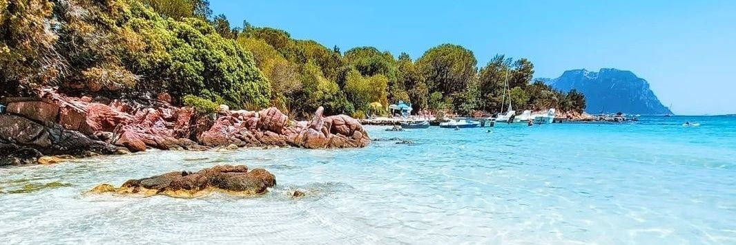 F86, ANTI FOCA, & LAZIS, YO NO LOS VOTE banner