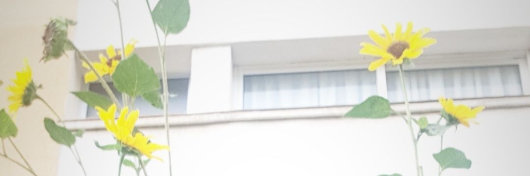 danycometa's profile banner image