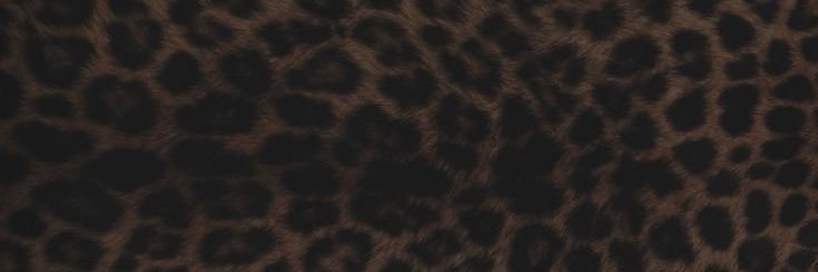 ؘ banner