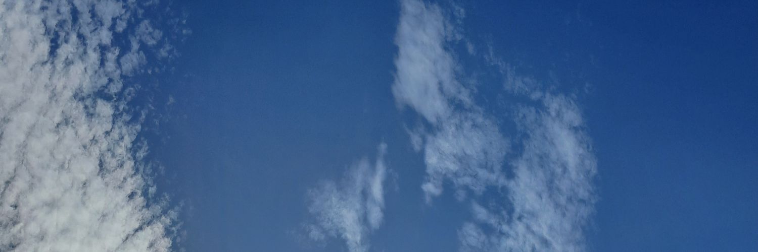 VicoCastr0's profile banner image