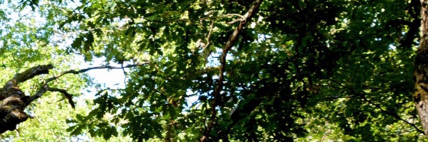 UKS0791's profile banner image
