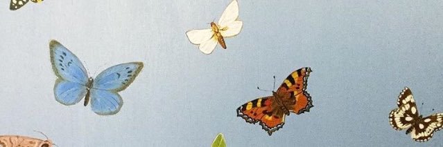 jadynhouse's profile banner image