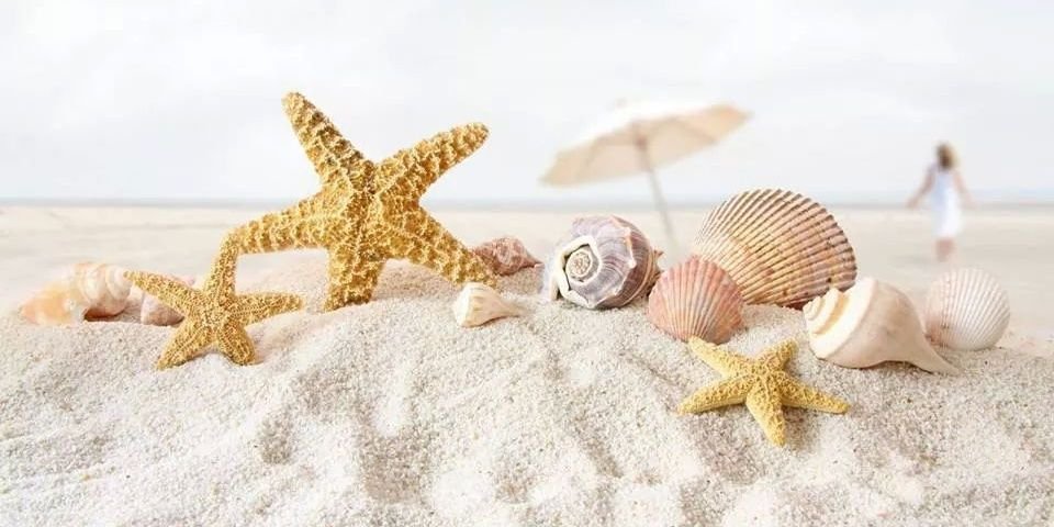 ambreen_shaikh's profile banner image