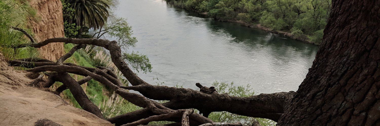 Dan Wooten | Spinner of Trails banner