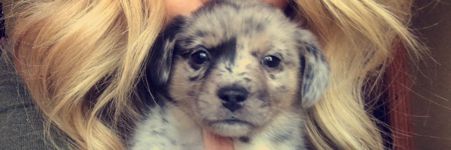 Miss_Ryleee's profile banner image