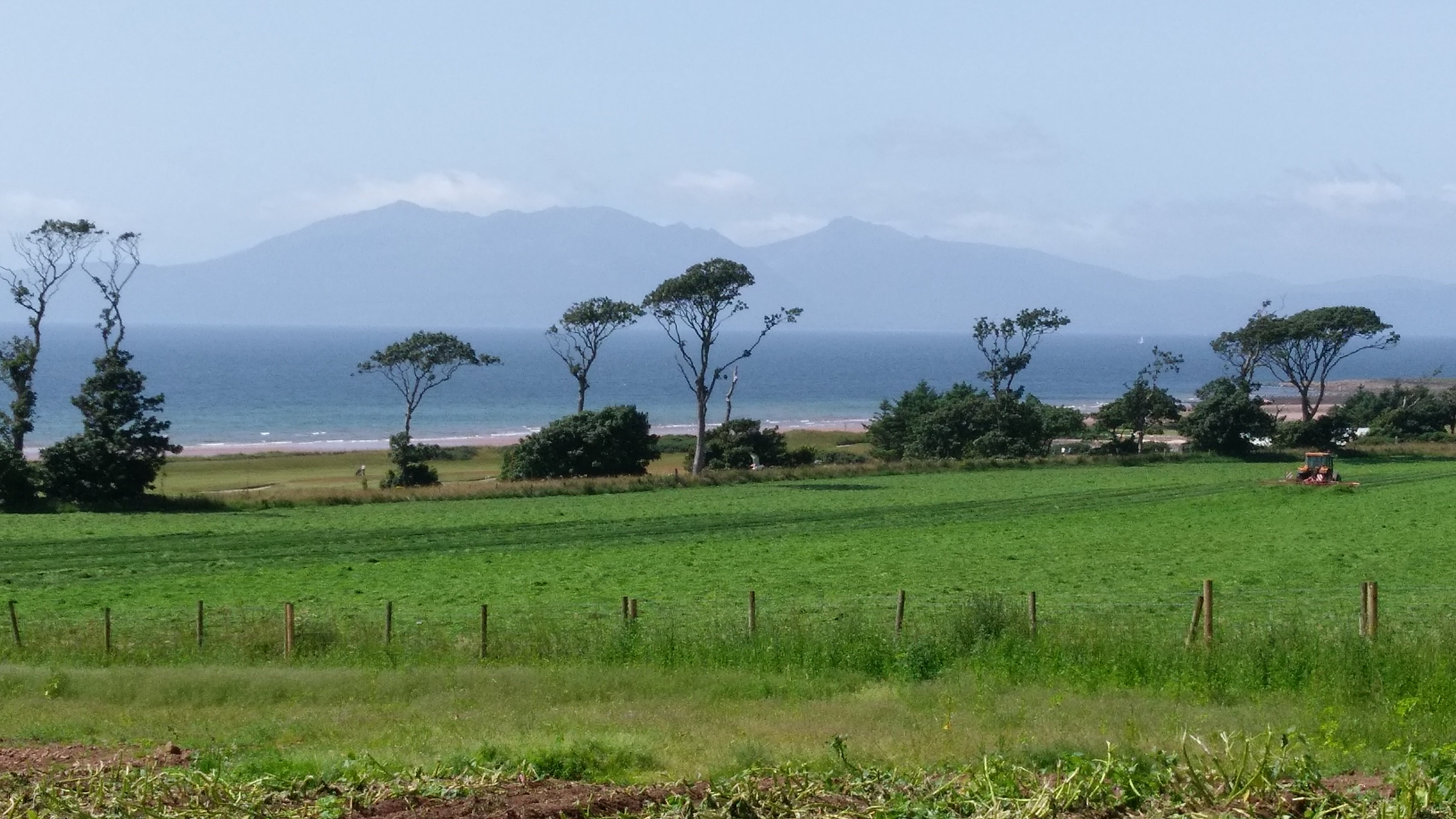 ₣łØ₦₳ banner