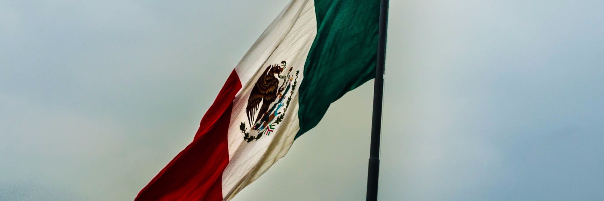EnDirecto banner