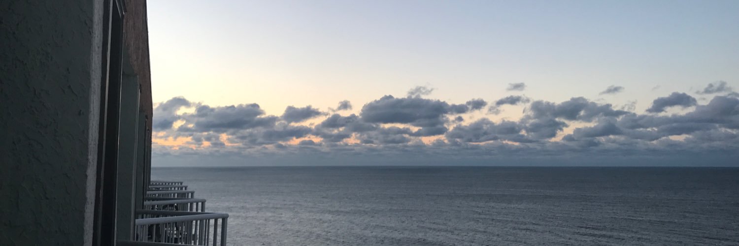 madalinecline's profile banner image