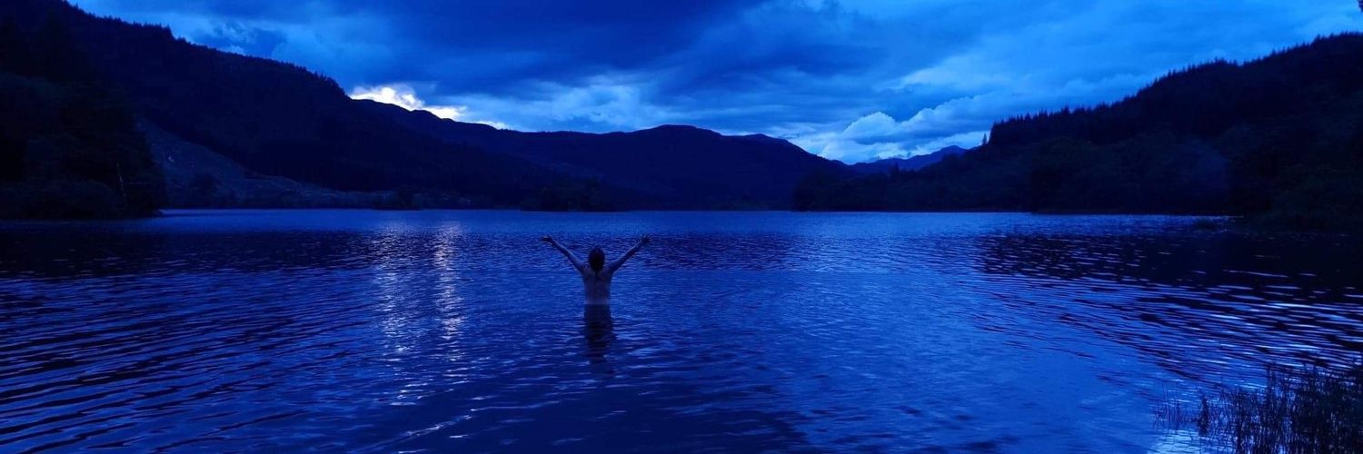 Lisa Nicholson banner