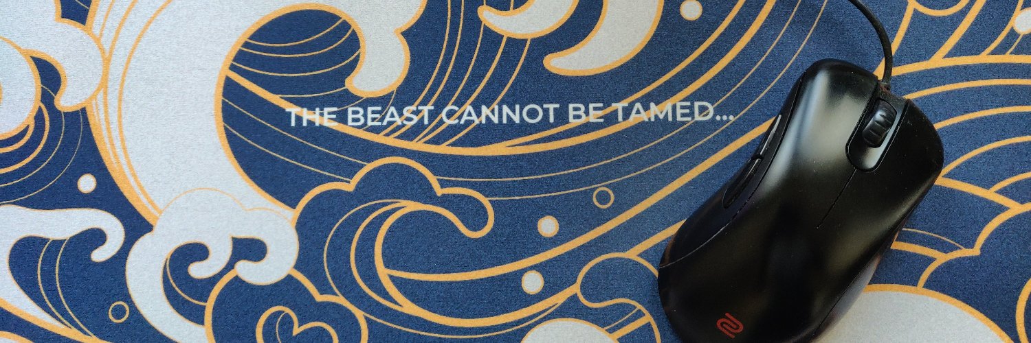 THE_BEAST_csgo banner
