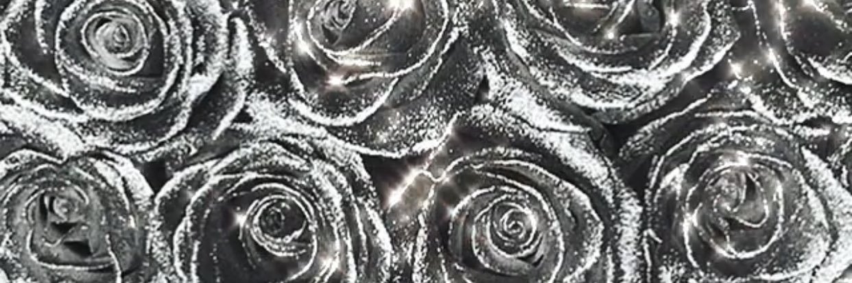 _marymonae's profile banner image