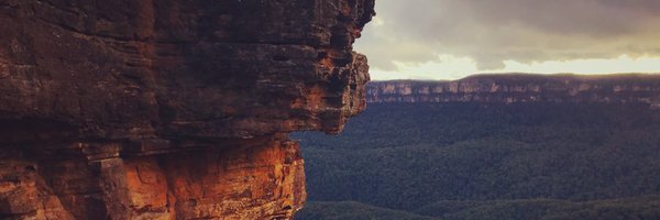 hannahRapaport Profile Banner