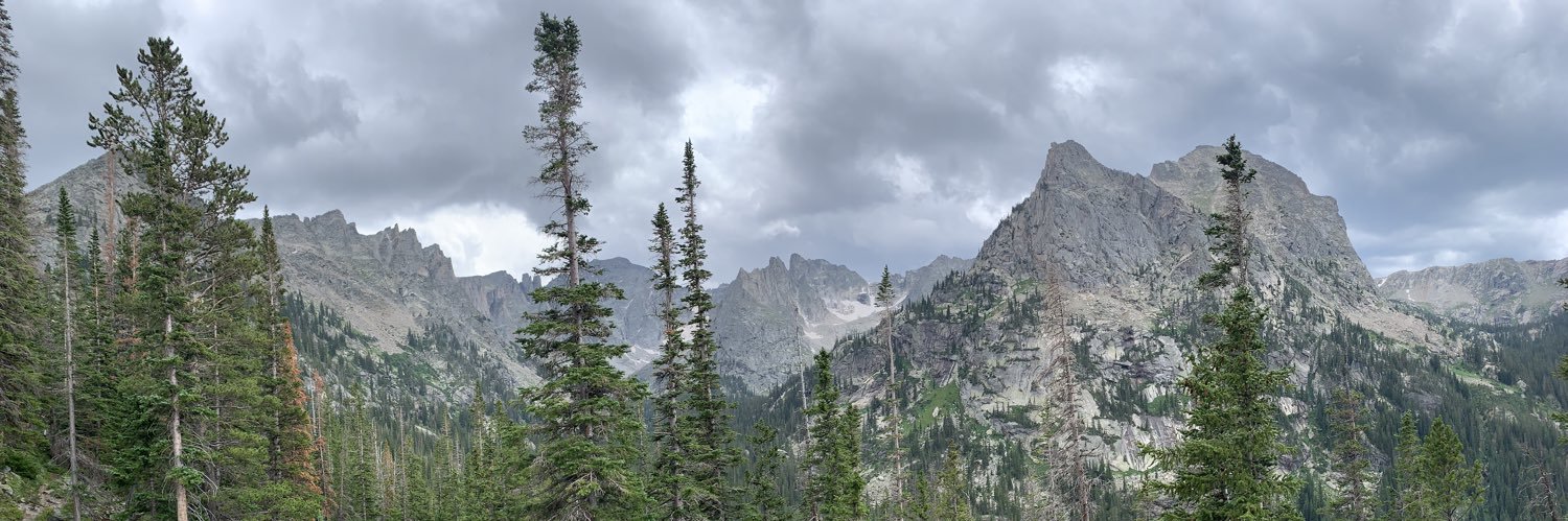 T. Craig Nelson banner