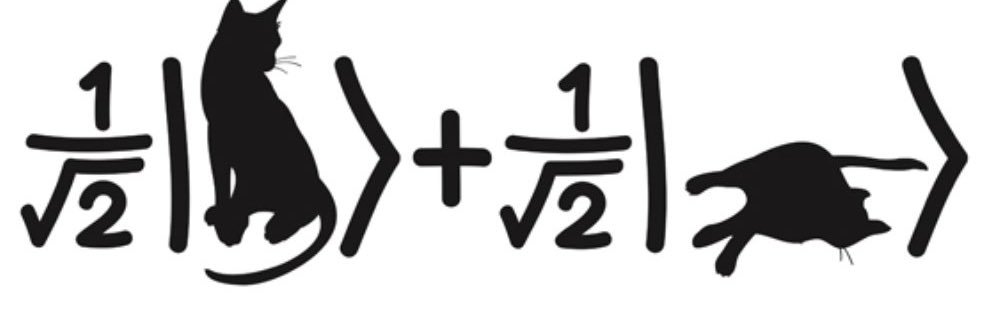 Gilberto Sánchez (.·. G .·.) 🐥 banner