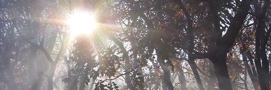 loveyouselfsp's profile banner image