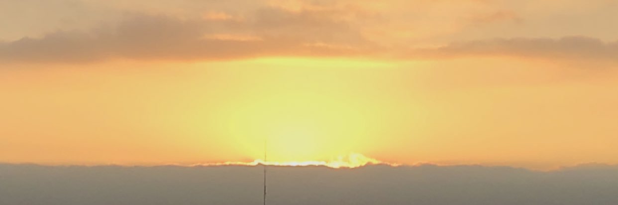 adeladls's profile banner image