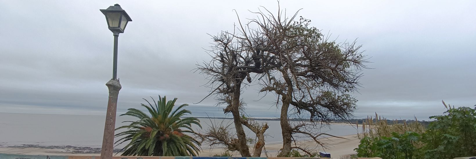 爪ate 爪arcos🎶🌎 banner